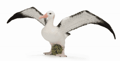 COLLECTA figurka Albatros stěhovavý