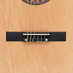 Vidaxl 12dílný set folková akustická cutaway kytara se 6 strunami 38''