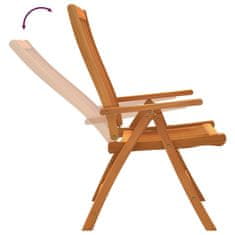 Petromila Skládací zahradní židle 2 ks masivní eukalyptové dřevo