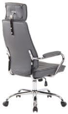 Sortland Kancelářská židle Rako - pravá kůže | šedá