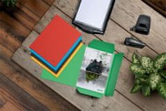 Leitz Spisové desky "Recycle", červená, recyklovaný karton, A4, 39060025
