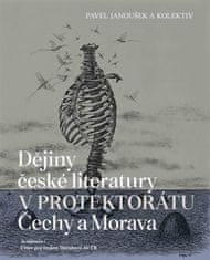 Dějiny české literatury v protektorátu Čechy a Morava - kol.