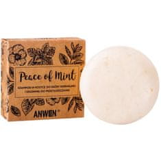 Anwen Peace of Mint - šampon pro mastné vlasy, účinně čistí pokožku hlavy, 75g