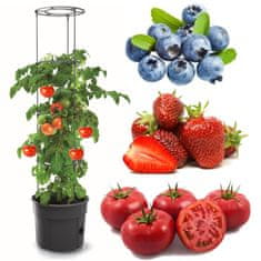 botle 6 x Květináč na pěstování rajčat s ochrannou Fólií Průměr 38,5 cm Hrnec s Podpěrou a Vložkou