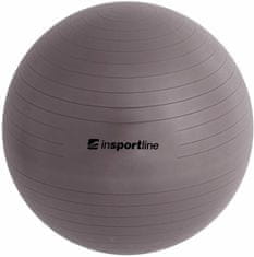 inSPORTline Gymnastický míč Top Ball 65 cm (Barva: fialová)