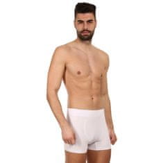 Gino Pánské boxerky bezešvé bambusové bílé (54005) - velikost XL
