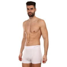 Gino Pánské boxerky bezešvé bambusové bílé (54005) - velikost XL