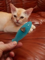 Japan Premium Hračka pro kočky, měkká 3D ve tvaru ryby s matabi, pomáhá čistit zuby