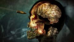Rebellion Zombie Army 4: Dead War PS4