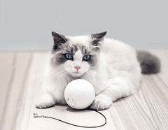 MXM Chytrý balónek HomeRunPet pro kočky / psy