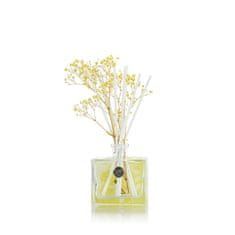 Ashleigh & Burwood Sušené květy do difuzéru LIFE IN BLOOM - Yellow