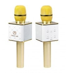 Technaxx bluetooth karaoke mikrofon se stereo reproduktorem (BT-X31)
