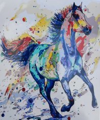 TADEKMARK Malování na plátno podle čísel plátno s rámem 40x50 kůň