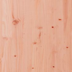 Petromila Lavice s truhlíky 184,5x39,5x56,5 cm masivní dřevo douglasky