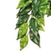 Hagen Rostlina EXO TERRA Ficus malá 45 cm 1 ks