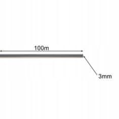 BIGSTREN 21025 Žací struna do sekačky 3 mm, 100 m