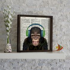 Wallity Nástěnný obraz Monkey 34x34 cm III