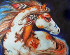 Gaira® Diamantové malování Kůň D3865