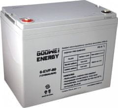 GOOWEI ENERGY Pb trakční záložní akumulátor VRLA GEL 12V/80Ah (6-EVF-80)