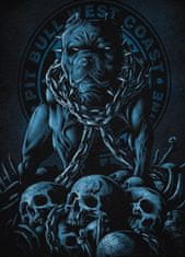 PitBull West Coast PitBull West Coast Triko Skull Dog 23 - černé