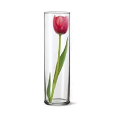 Banquet Váza skleněná DAREN 27,4 x 8,5 cm, sada 4 ks