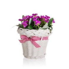 HOME DECOR Květina v ratanovém košíku se stuhou 13 x 14 cm, fialová, sada 6 ks