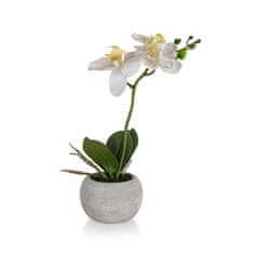 HOME DECOR Orchidej v papírovém květináči 32 x 23 cm, bílá, sada 4 ks