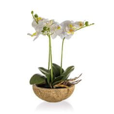 HOME DECOR Orchidej v betonovém květináči 30,5 x 17 cm, bílá, sada 2 ks