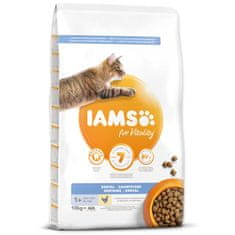 IAMS IAMS Cat Adult Dental Chicken 10 kg