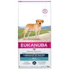 IAMS EUKANUBA Labrador Retriever 12 kg