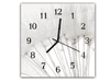 Nástěnné hodiny 30x30cm detail bílé odkvetlé pampelišky na bílém pozadí - Materiál: kalené sklo