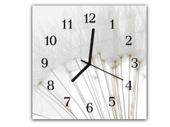 Glasdekor Nástěnné hodiny 30x30cm detail bílé odkvetlé pampelišky na bílém pozadí - Materiál: kalené sklo