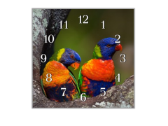 Glasdekor Nástěnné hodiny 30x30cm papoušek Lori mnohobarevný - Materiál: kalené sklo