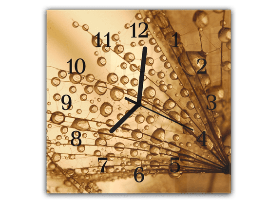 Glasdekor Nástěnné hodiny 30x30cm padáky pampelišky s rosou na hnědém pozadí