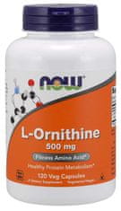 NOW Foods L-Ornithine 500 mg, 120 kapslí