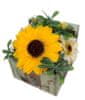 Mýdlová kytice v dárkovém miniboxu Sun box