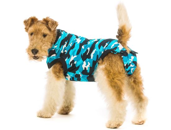 Suitical Pooperační ochranné oblečení pro psa modré