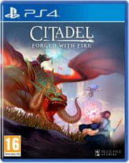 INNA Citadel: Forged with Fire PS4