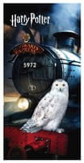 Jerry Fabrics  Osuška Harry Potter Hedwig 70x140 cm