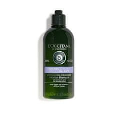 LOccitane EnProvence Micelární šampon Gentle & Balance (Micellar Shampoo) (Objem 300 ml)