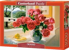 Castorland Puzzle Vzpomínka na léto 3000 dílků