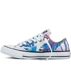 Converse Boty Chuck Taylor All Star low Tropical Print