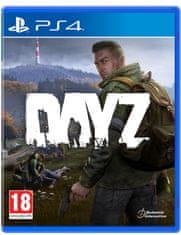 DayZ (PS4)