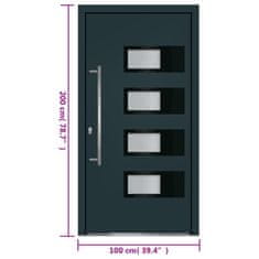 Vidaxl Vchodové dveře antracitové 100 x 200 cm hliník a PVC
