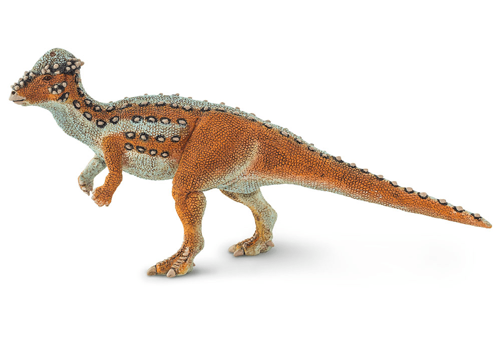 Levně Safari Ltd. Pachycephalosaurus