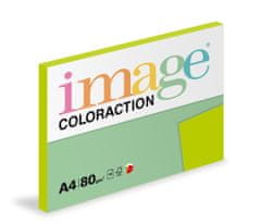 Image Papír kopírovací Coloraction A4 80 g zelená střední 100 listů