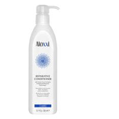 ALOXXI  Detoxikační šampon a Rekonstrukční kondicionér 2x300 ml