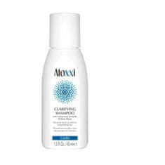ALOXXI Detoxikační šampon 45 ml
