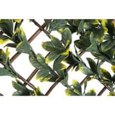 Petromila Nature Zahradní treláž s ptačím zobem 90x180 cm zelené a žluté listy
