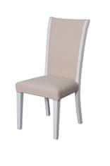 TA028 Čalouněná židle